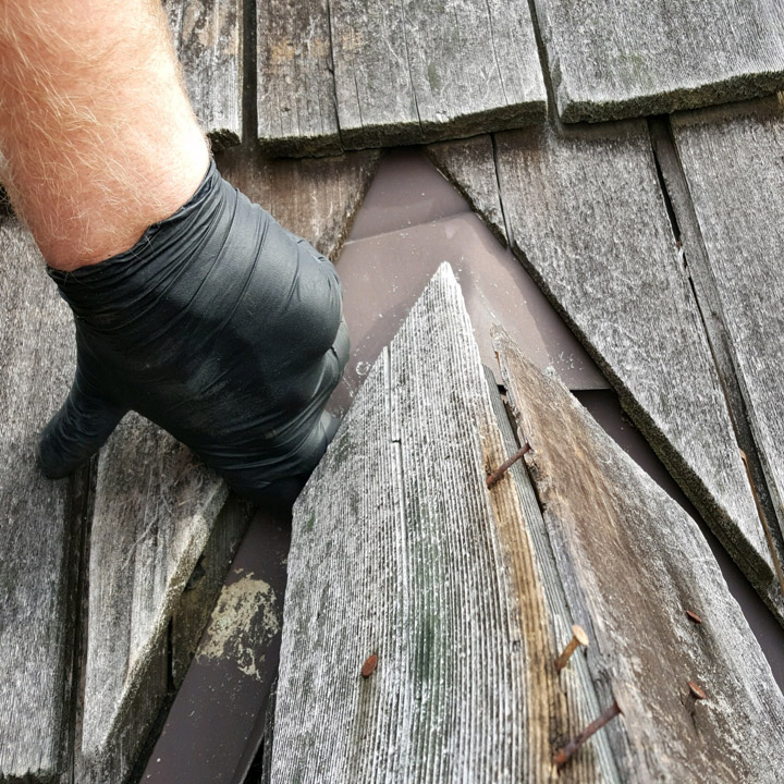 squirrel-damage Squirrel Damage Repair